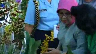 preview picture of video '(5/7) Tomohon Flower Festival 2008'