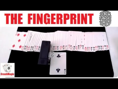 Der Fingerabdruck-Spürhund