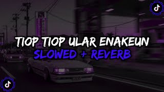 Download lagu DJ Tiop-Tiop Ular X Akimilaku Goyang Pokemon - ( Slowed Reverb ) 🎧 mp3 Download lagu DJ Tiop-Tiop Ular X Akimilaku Goyang Pokemon - ( Slowed Reverb ) 🎧 mp3