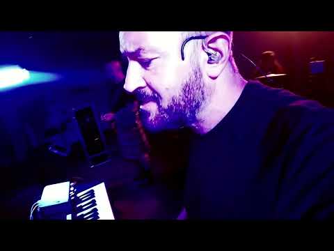 THE WAXIES PARTY WEDDING BAND - "PINK PONY CLUB"