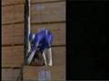 Power Ranger Bloopers