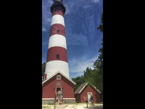 Island Insights - Assateague Island Lighthouse