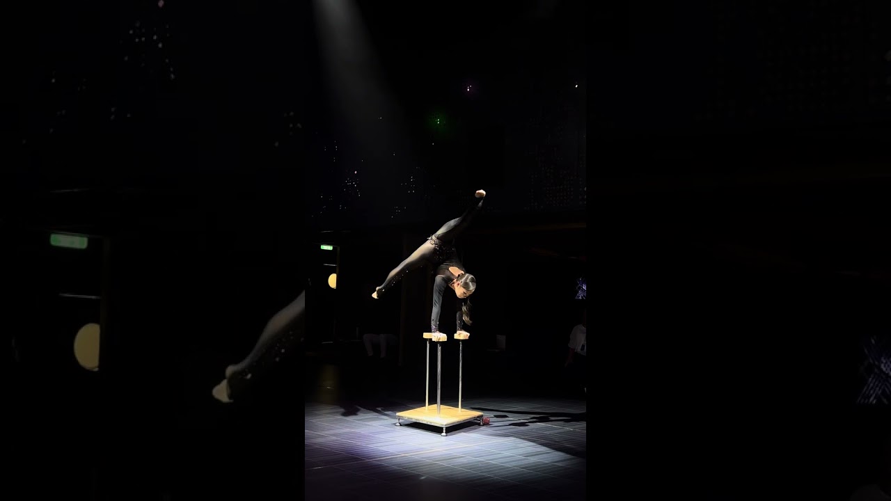 Promotional video thumbnail 2 for Naranzul Contortionist & Handbalancer