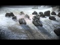 World of Tanks: Xbox 360 Edition Nations Trailer
