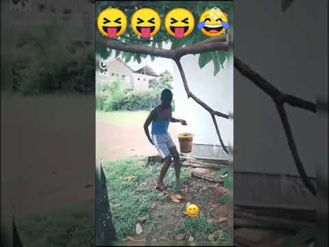 30-second-Tik-tok-funny-video-status Mp4 3GP Video & Mp3 Download unlimited Videos Download 30-second-Tik-tok-funny-video-status Mp4 3GP Video & Mp3 Download unlimited Videos Download