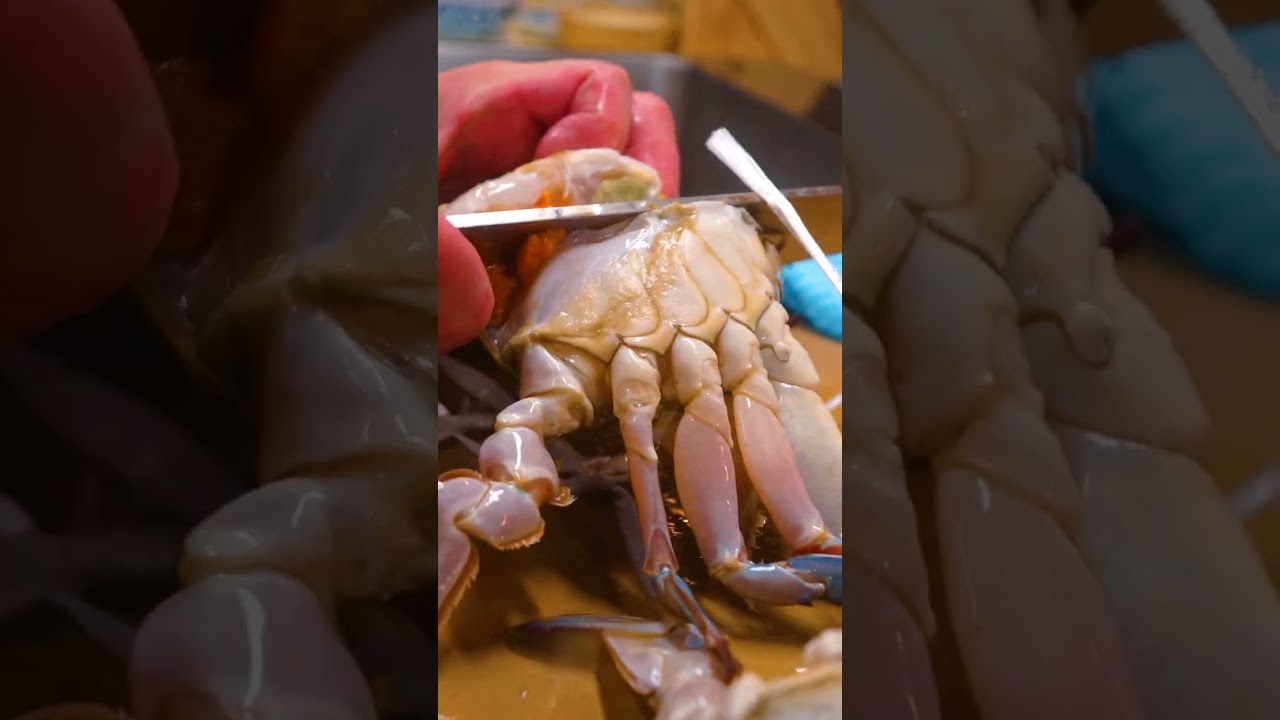 【希少】ワタリガニの捌き方！渡り蟹一筋55年「松屋」How to cut blue crab!