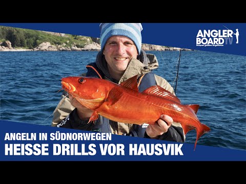 Angeln in Südnorwegen ‒ heiße Drills vor Hausvik Teil 1 ‒ Norwegen, Dorschangeln und Pollack Montage