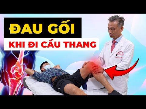 SOS! Đau Gối Khi Leo Cầu Thang - Sai Lầm Chết Người Bạn Đang Mắc Phải