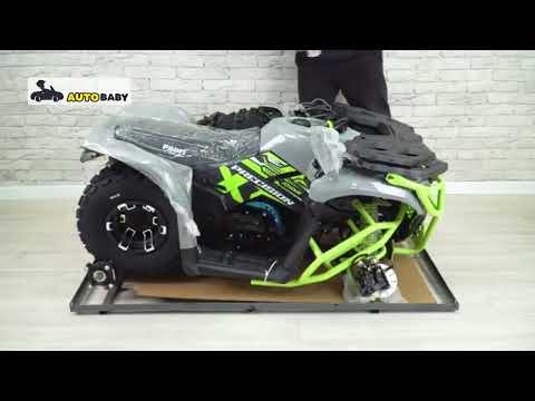  квадроцикл Profi AX150