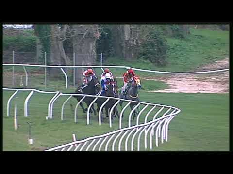 Galoppo 16/11/2020 - 5ª corsa