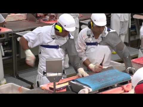 Meat process worker video 1