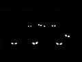 Alphablocks And Numberblocks Eyes In The Dark For Gracie Jones