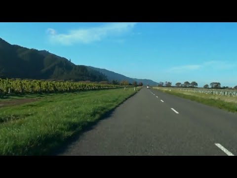 New Zealand Drive : Blenheim to Rarangi