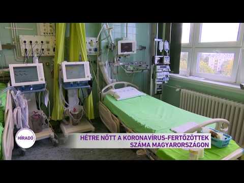citrosept parazitákról szóló véleményekből rossz módszer és paraziták