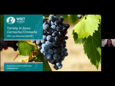 Variety in focus: Grenache/Garnacha with Lucy Stevenson DipWSET