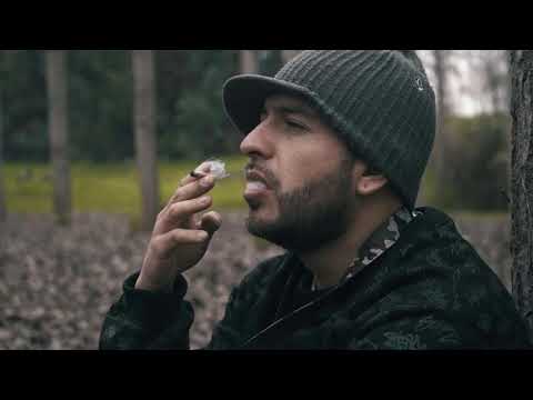 Origenbeats feat Stailok Movimiento Original y Guerreiro (wjotapanguilef) Pura vibration