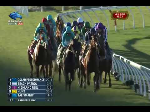 Longines Breeders' Cup Turf Stakes G1 - 04\11\2017 - Talismanic