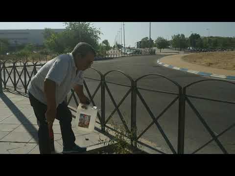 #Cambioclimático #EscuelaDeActivismo #Coslada ✊ 🌱🌲🌳🌿🍀🌸🌹🌺🌼