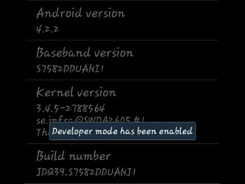 where is the Developer Option In Android Mobile