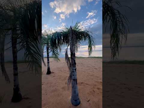 #pordosol #playa #paraiso #candelaria #argentina #misiones #nature #natureza #travel #rioparaná