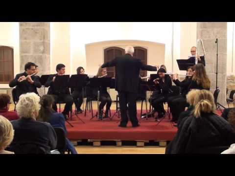TRIESTE FLUTE ENSEMBLE - G. Coslovich: "Mare Tranquillitatis"
