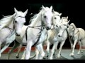 Ringling Bros And Barnum Bailey Fully Charged Las Vegas Thomas Mack Center