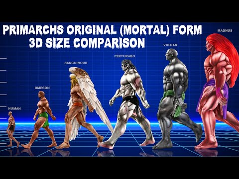 Primarchs in Original (Mortal) Form | Animated 3D Size Comparison