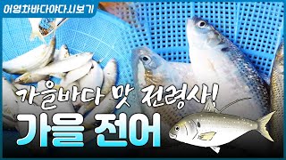 가을에 빼놓으면 섭한 별미~ 가을하면 전어, 전어하면 가을! #전어 #가을전어 #전어회