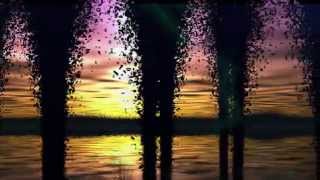 Tender Meat - steppin out