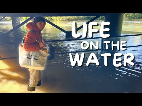 A very normal week of living on a narrowboat - 115