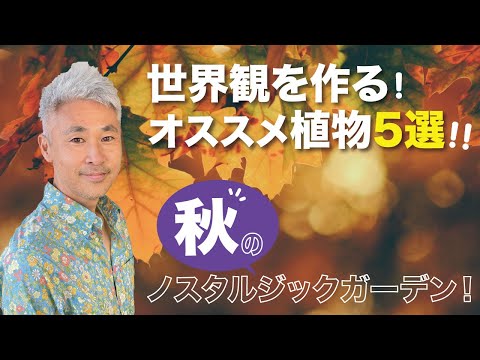 凍らない屋外植物：秋に植える10種以上  庭園