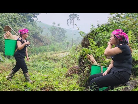 The girl's difficult journey to find a new home in another village.