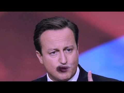 The Sparrowhawk Orkestrel. MP Opinion.