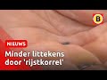 Borstkankeroperaties stuk minder vervelend door uitvinding | Omroep Brabant