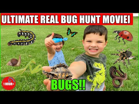 ULTIMATE REAL BUG HUNT! 1 Hour+ of Caleb's Best Bug Adventures, Giant Snails & Super Worms!