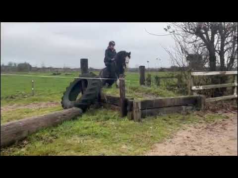 Buddy Lot 402 Clifden Sat 29th - Image 2