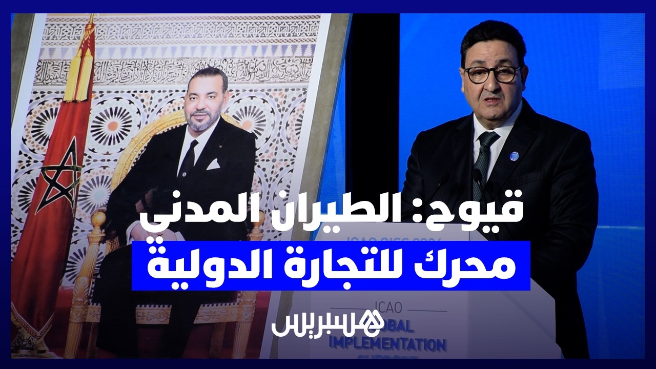 وزير النقل واللوجستيك: الطيران المدني محرك للتجارة الدولية وتطوره المتسارع يطرح تحديات مهمة thumbnail