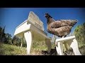 https://www.youtube.com/watch?v=WFxDOV6IwHk