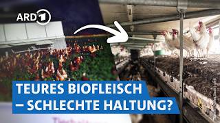 Biofleisch im Check: Lücken im System von Siegeln und Kontrollen | Marktcheck SW
