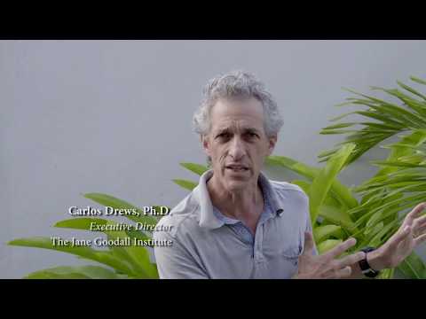 JGI's Executive Director Carlos Drews Tours Caesar's Home