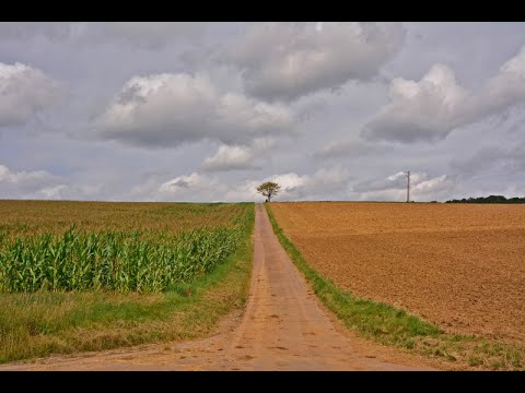 Kraichgau Tour 25: Steinsfurt und Grombach (Rhein-Neckar-Kreis)