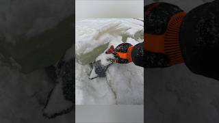 Rescued from under the ice 🧊