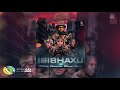 Professor Isibhaxu Ft Mampintsha Babes Wodumo Pex Africah Official Audio