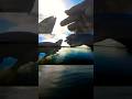 Video Thumbnail for Perch fishing #shorts #fishing #perch