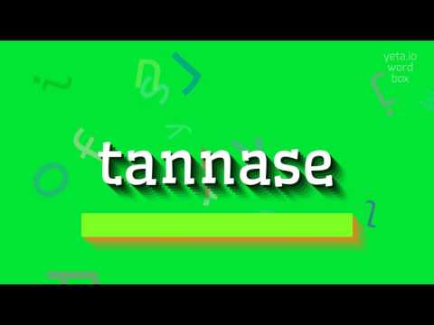 TANNASE - HOW TO SAY TANNASE? #tannase