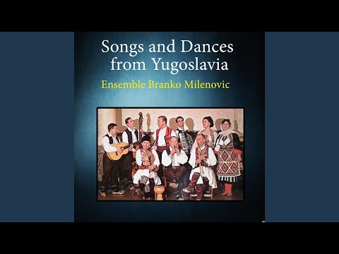 Ja Sam Mladi Dalmatinac