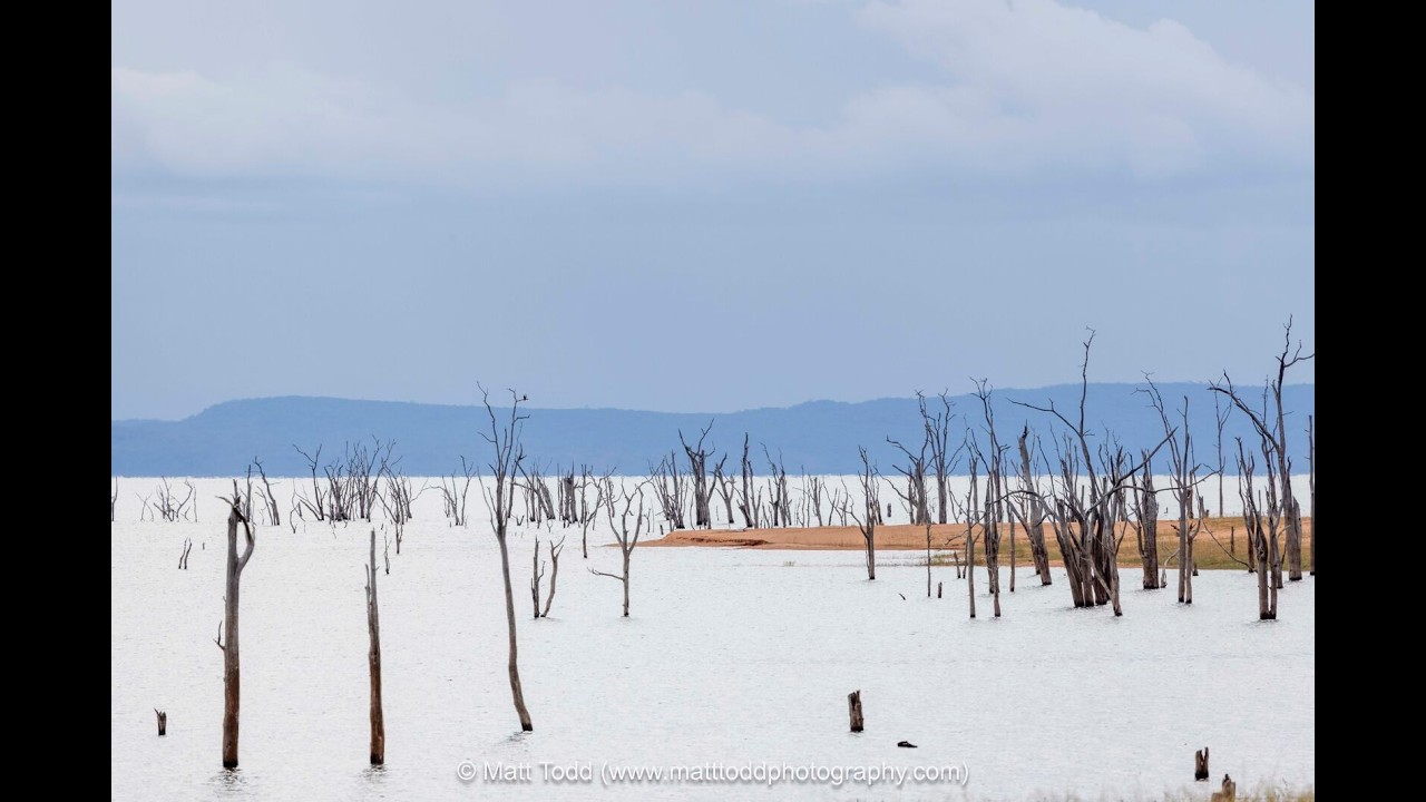 Introduction to Matusadona National Park