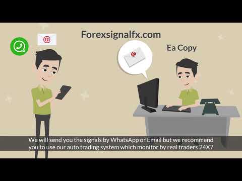 Forex copy trading Forex Auto Video