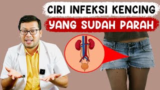Download lagu CIRI CIRI INFEKSI SALURAN KEMIH YANG SUDAH PARAH - DOKTER SADDAM ISMAIL mp3 Download lagu CIRI CIRI INFEKSI SALURAN KEMIH YANG SUDAH PARAH - DOKTER SADDAM ISMAIL mp3