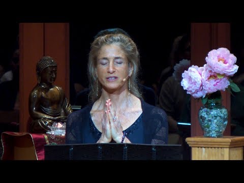 Tara Talks: Reflection on Impermanence - with Tara Brach